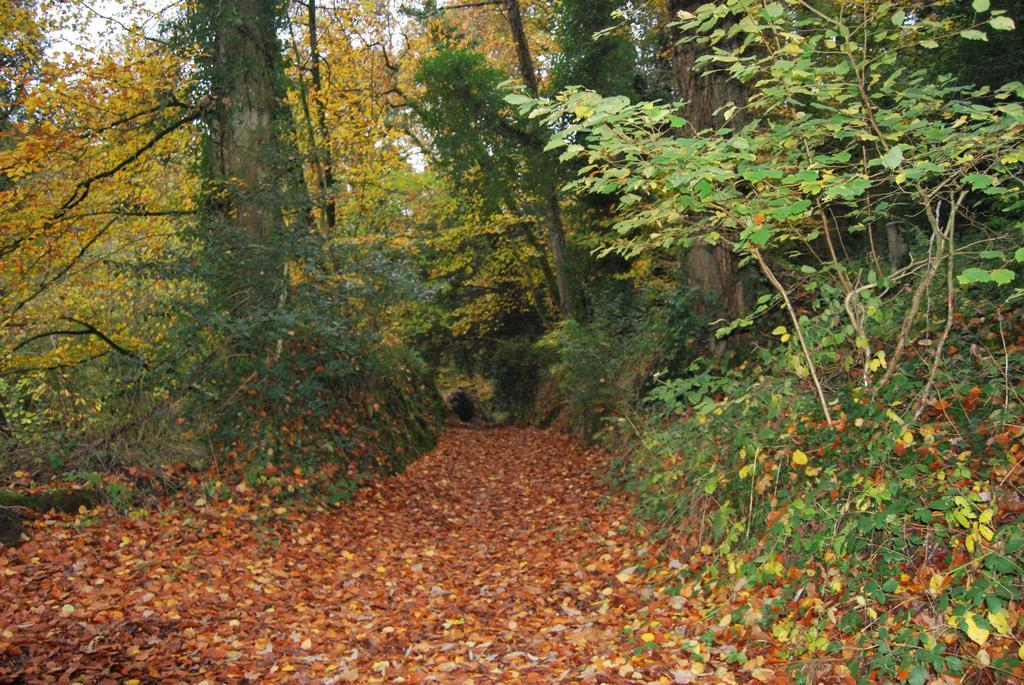 Gite La Chouette Bégard Exterior foto
